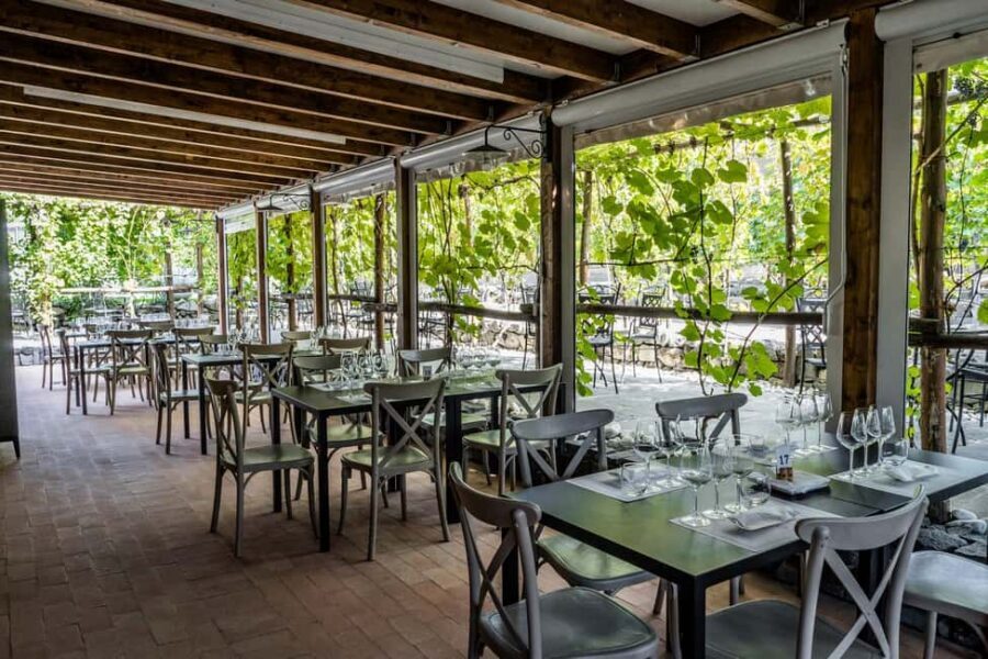 Mount Vesuvius Wine Tasting and Lunch from Pompeii - Walking Among the Vines: What You’ll Learn on the Slopes