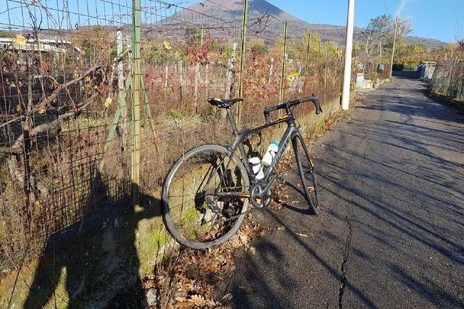 Mt Vesuvius E-Bike Tour - Price and value: is $142.98 worth it?