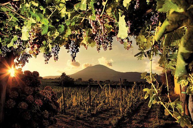 Mt. Vesuvius Wine Tasting and Lunch Experience from Pompeii - Getting from Pompeii to the winery: the transport experience