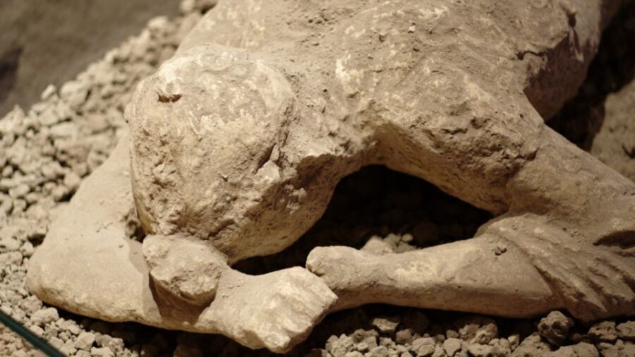Naples: 7 Days Pass - Pompeii, Museums & Transport Included - Museums you can build a real day around