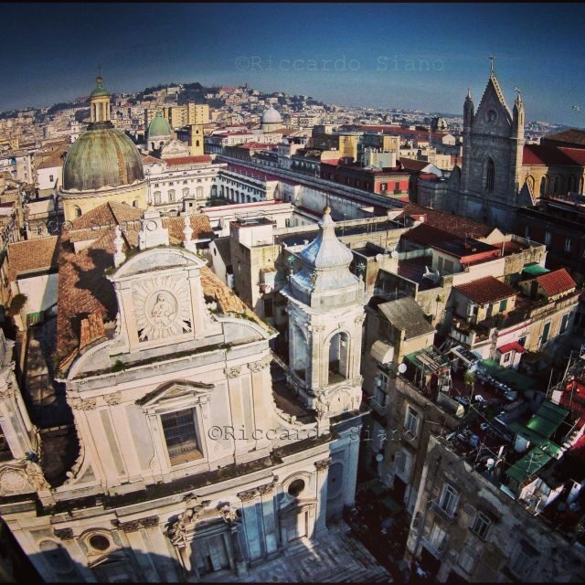 Naples: Guided Walking Tour - Bourbon Naples at Piazza del Plebiscito and the Royal Palace Area