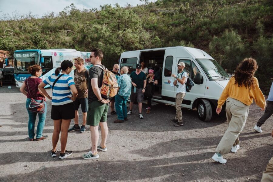 Naples: Pompeii and Mount Vesuvius Entry Tickets and Tour - Archaeologist-led Pompeii: 2 hours in the heart of the site