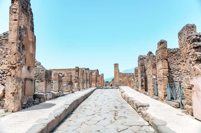 Naples: Pompeii and Vesuvius Day Trip - Should You Book This Naples Pompeii and Vesuvius Trip?