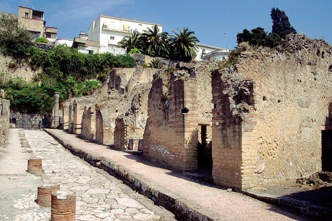 Naples: Pompeii, Herculaneum, and Vesuvius Tour by Minivan - One Minivan, Three Big Roman Sites, One Volcano View
