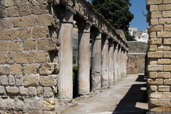 Naples: Pompeii, Herculaneum, and Vesuvius Tour by Minivan - What the Driver Actually Does