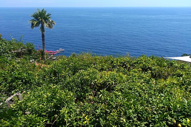 Naples port tour Sorrento and pompeii and overview of positano - Positano and the Amalfi Coast drive: the views come with a schedule