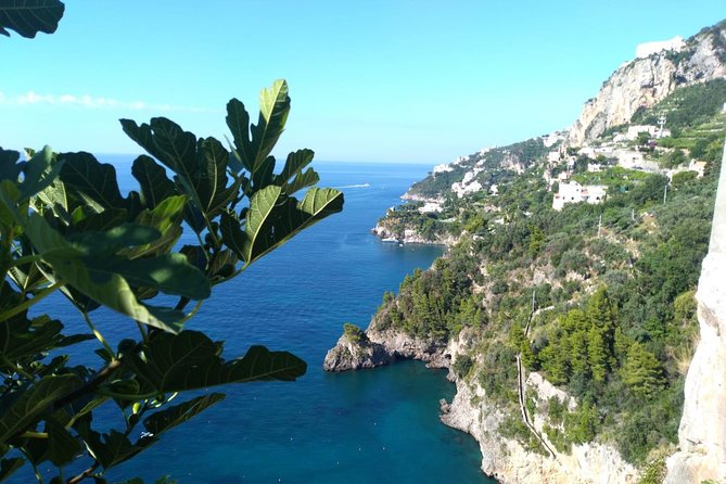 Naples port tour Sorrento and pompeii and overview of positano - Price and value: $708.90 per group (up to 3) and what’s included