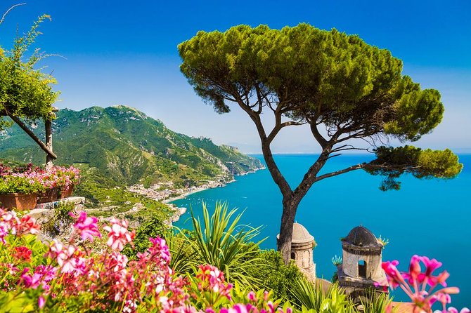 Naples Private Shore Excursion: Amalfi Coast, Positano and Ravello - Price and value: $395.84 per person for a private, timed day