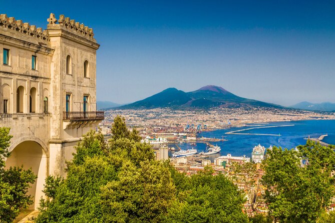 Naples/Salerno Port: Pompeii & Vesuvius - lunch or wine tasting - Price and Value: Is $156.89 Worth It?