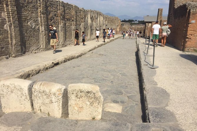 Naples Shore Excursion: Pompeii and Sorrento Day Trip - Mt. Vesuvius photo stop: short, scenic, and meaningful