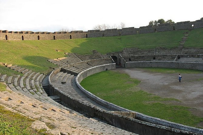 Naples Shore Excursion: Pompeii Half Day Trip from Naples - Price and value: $84.43 with admission included