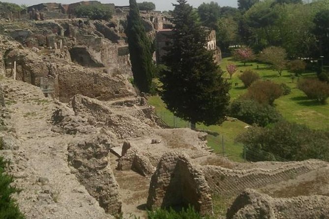 Naples Shore Excursion: Pompeii Half Day Trip from Naples - What you’ll miss (and how to fix it next time)