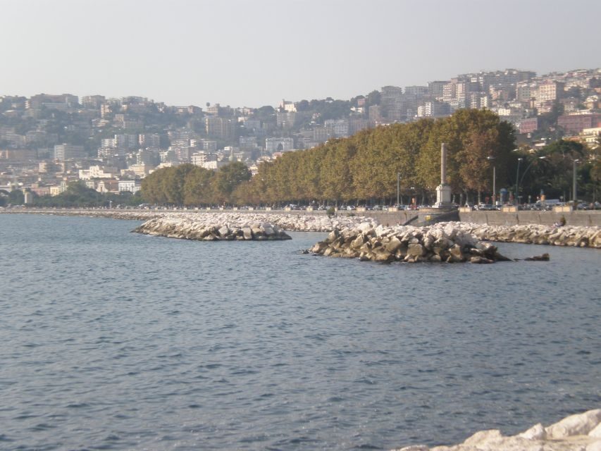 Naples Sightseeing Tour for Small Groups - Town Hall Square and the French-era New Castle drive-by
