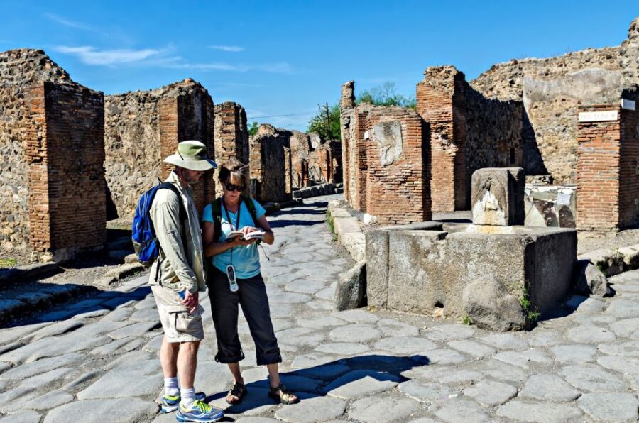 Naples: Sorrento and Pompeii with lunch & tickets included - Pompeii tour expectations: what you’ll get and what you won’t