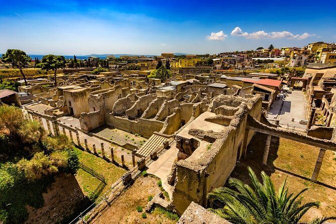 Naples to Pompeii direct transfer (or viceversa) - The driver experience: English support, punctuality, and real-world help
