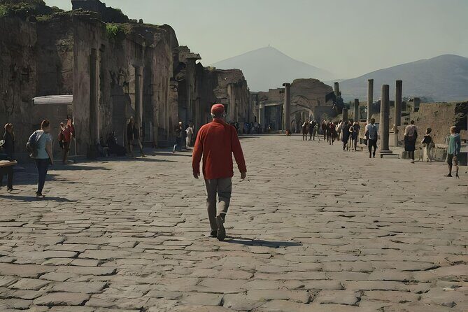 Naples to Pompeii direct transfer (or viceversa) - Tickets and guides: what’s not included (and how to plan it)