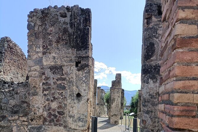 Naples transfer to Pompeii guided tour and Back - Price value: when $234.99 per person makes sense
