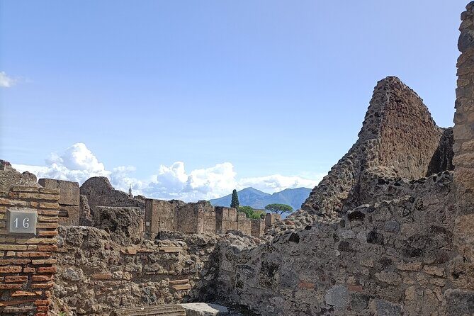Naples transfer to Pompeii guided tour and Back - Your private Pompeii guide: what you get besides transportation