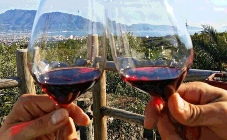 Naples: Vesuvius Half-Day Trip with Lunch and Wine Tasting - Lunch on the Slopes and Vesuvius Wine Tasting (1.5 Hours)