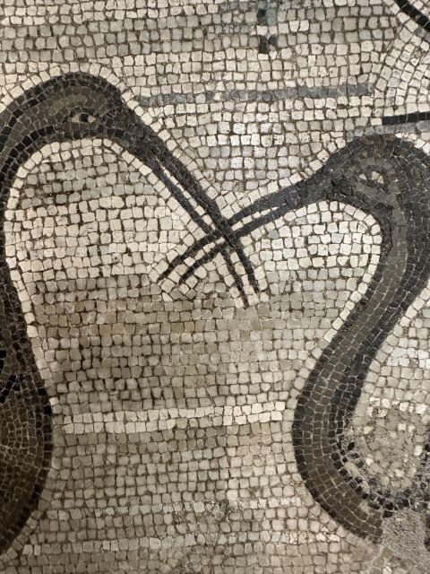 National Archaeological Museum of Naples Private Guided Tour - The 2-hour private format: what you gain (and what you skip)