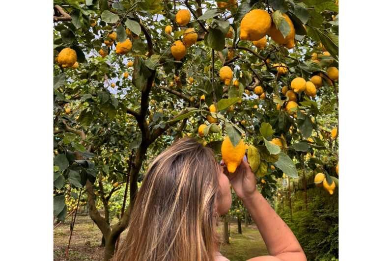 Nonno Mario Lemon Tour - From Pickup to Limoncello Spritz in the Lemon Grove