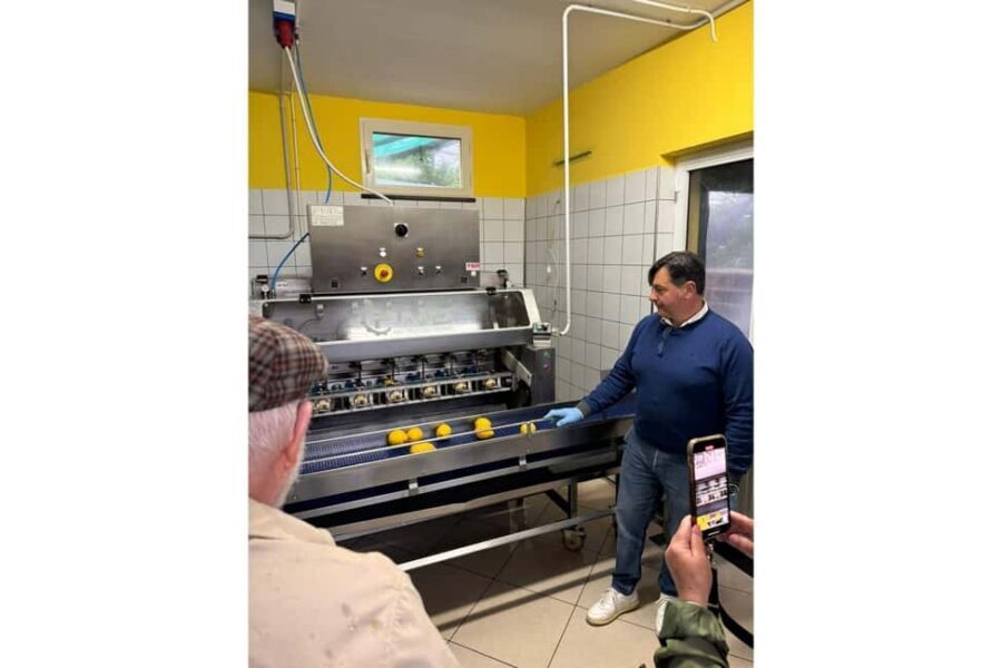 Nonno Mario Lemon Tour - The Lemon Lab: Peeling, Squeezing, and Tasting Fresh Peel