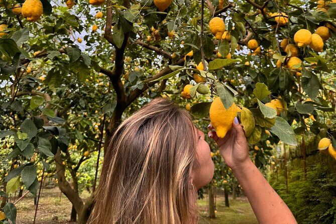 Nonno Mario Sorrento Lemon tour - The Laboratory Stop: Peeling, Squeezing, and Lemon Peel Tasting