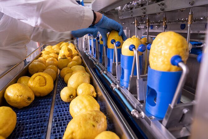 Nonno Mario Sorrento Lemon tour - The Right Fit: Who Will Enjoy This Most