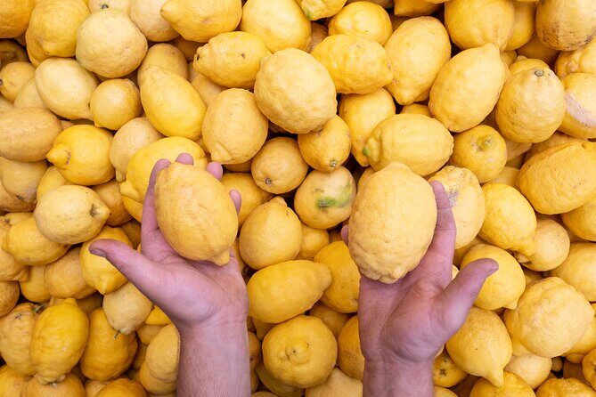 Nonno Mario Sorrento Lemon tour - Ancient Lemon Grove to Galano Methods: What You Actually Learn