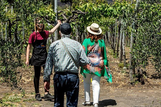 Organic Wine Tasting & Lunch Experience on Mt Vesuvius - Practical details that make the day smoother