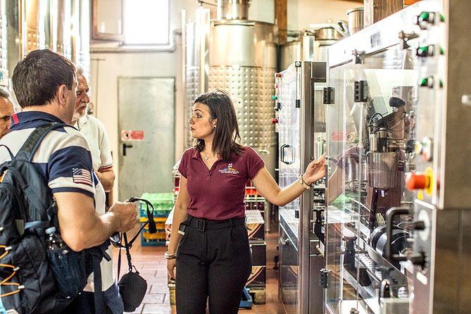 Organic Wine Tasting & Lunch Experience on Mt Vesuvius - Value: what $65.06 gets you for two hours