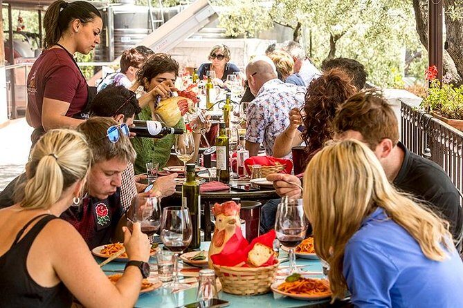 Organic Wine Tasting & Lunch on Vesuvius with Transfer from Sorrento Peninsula - Views over Naples, Sorrento, and Capri: when the day really clicks