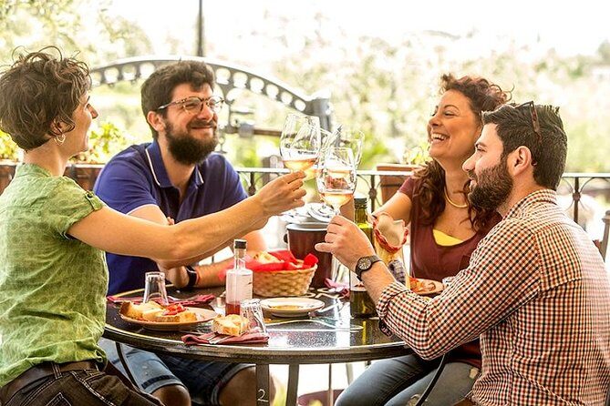 Organic Wine Tasting & Lunch on Vesuvius with Transfer from Sorrento Peninsula - Who this tour suits best (and who should choose something else)