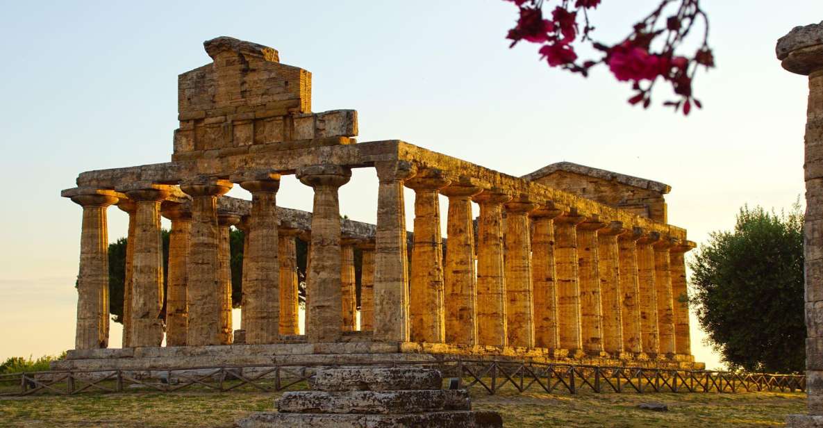 Paestum: 2-Hour Greek Temples & Archaeological Museum - Paestum’s Greek roots (Poseidonia) and Roman reuse in one walk
