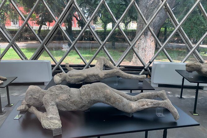 PAESTUM and POMPEI - Lunch at the farm: a guided break between ruins