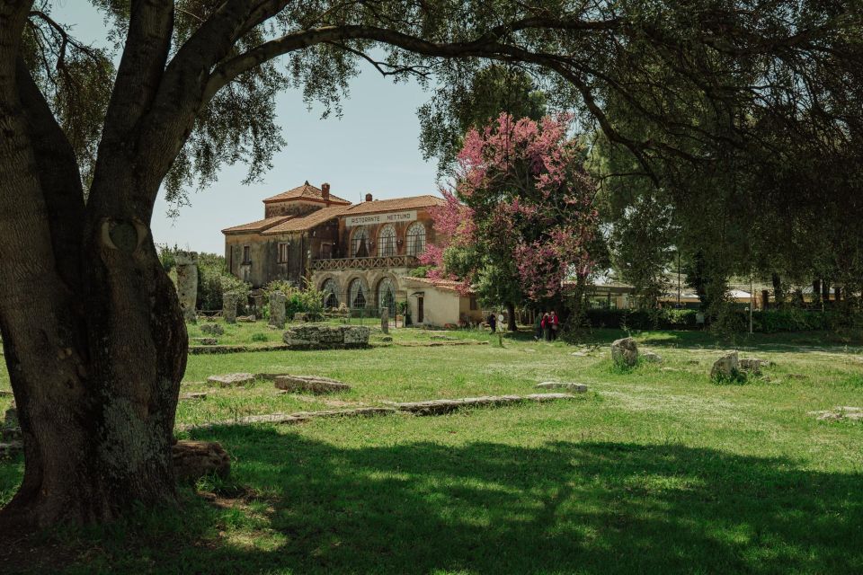 Paestum Archaeological Tour: 3-Hour Private Exploration - Price and value: what you’re paying for at $260.56 per person