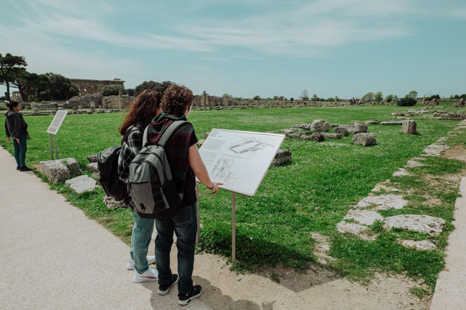 Paestum Archaeological Tour: 3-Hour Private Exploration - Who this tour suits best (and who might want to rethink it)