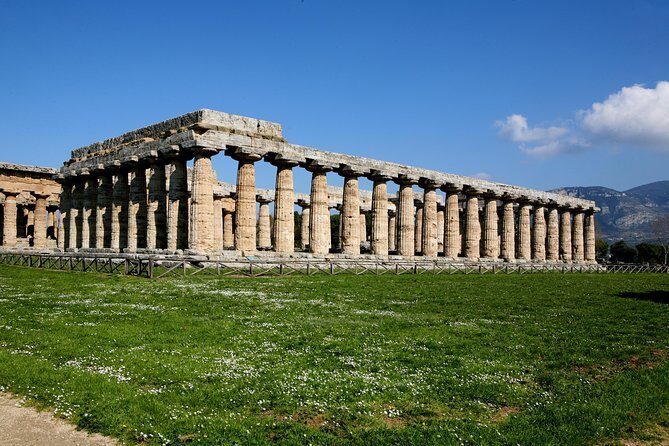 Paestum, Buffalo Mozzarella tasting and light lunch private tour - Price and logistics: what you’re paying for, and what to budget