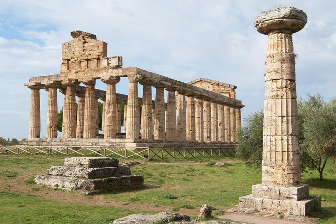 Paestum, Buffalo Mozzarella tasting and light lunch private tour - Should you book it?