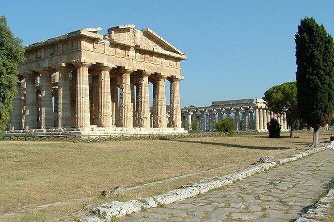 Paestum Greek Ruins - Private Port Pickup in Naples: What Makes It Worth It