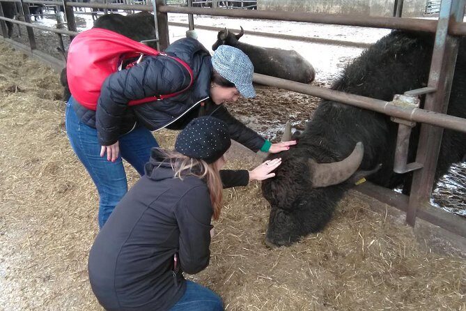 Paestum Traditions, Buffaloes, Ceramics, Temples - Key highlights you’ll actually care about