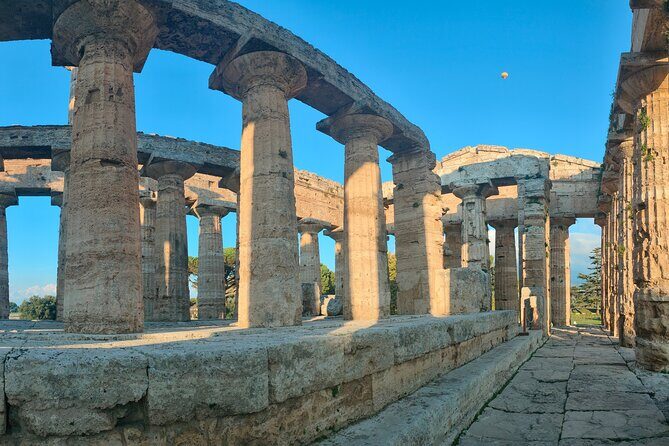 Paestum Traditions, Buffaloes, Ceramics, Temples - A private tour that blends crafts, farm life, and Paestum light show