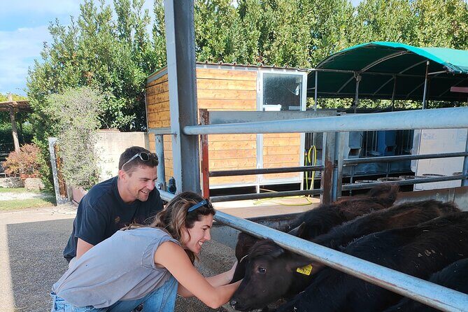 Paestum Traditions, Buffaloes, Ceramics, Temples - Pickup, timing, and how to make the day feel easy