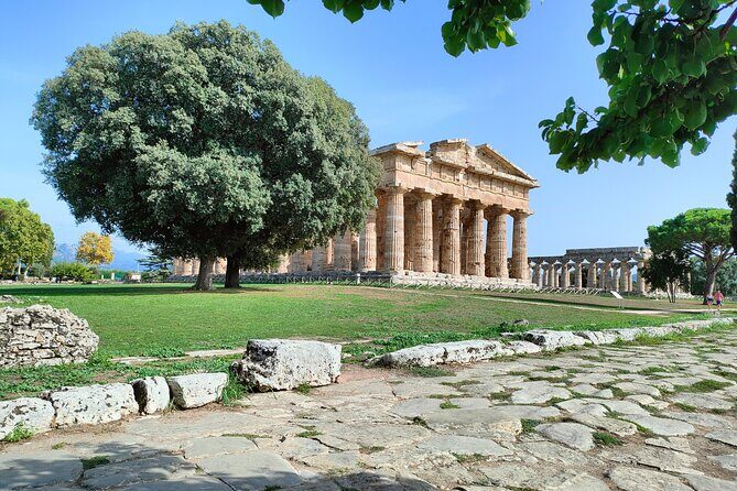 Paestum Traditions, Buffaloes, Ceramics, Temples - Should you book Paestum Traditions, Buffaloes, Ceramics, Temples?