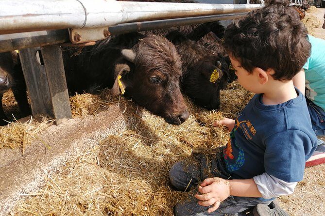 Paestum Traditions, Buffaloes, Ceramics, Temples - Buffalo farm stop: mozzarella, yogurt, and donkeys included
