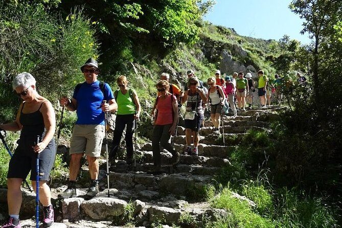 Path of Gods Hike, with Food Experience at Shepherd's Hut - The Positano sightline: why this stop sticks in your head