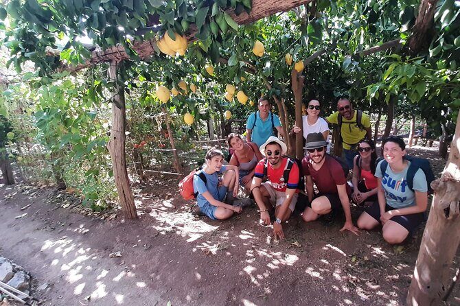 Path of the Lemons - Stop 1: lemon grove tasting with Amalfi Coast panorama