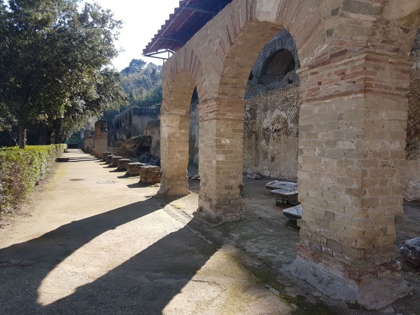 Phlegraean Fields: Cuma Baia and Pozzuoli private excursion - Private van, Mercedes ride, and how the 8 hours usually feel
