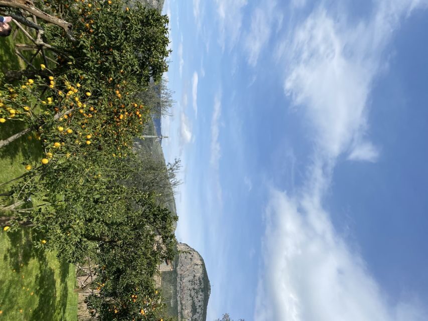 Piano di Sorrento: Cooking Class with Food Tasting and Wine - Handmade pasta lesson: what you learn