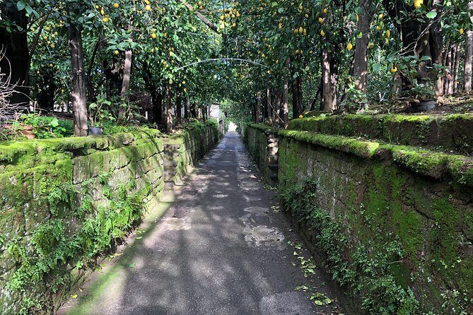 Piano di Sorrento Walking Tour with a Local - Orazio Bridge: the viewpoint that makes the walk feel worth it